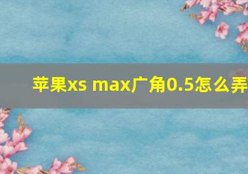 苹果xs max广角0.5怎么弄